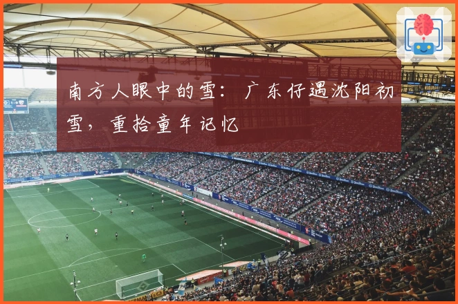 南方人眼中的雪：广东仔遇沈阳初雪，重拾童年记忆