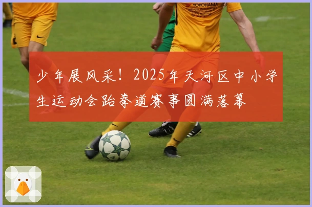 少年展风采！2025年天河区中小学生运动会跆拳道赛事圆满落幕